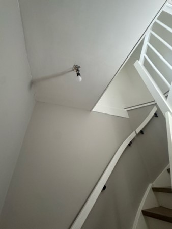 IMG_5622 Medium.jpeg